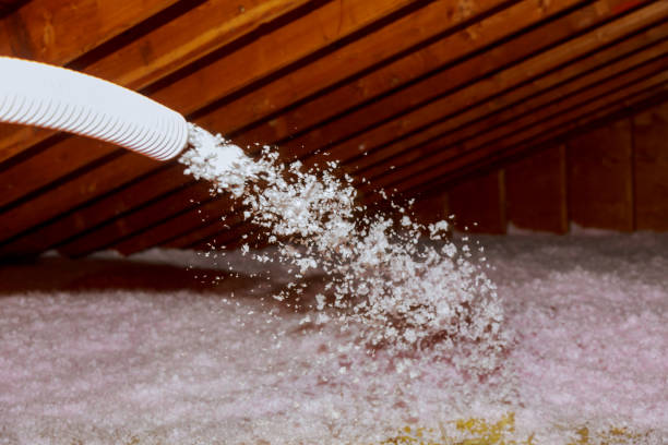 Best Blown-In Insulation  in West Athens, CA