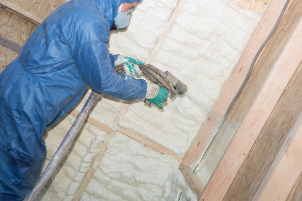 Types of Insulation We Offer in West Athens, CA